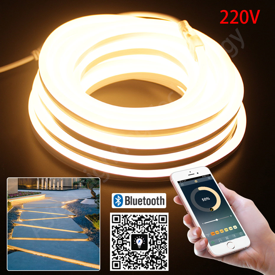 Outdoor Power Strip Weatherproof - Strip Neon LED 220V 2835 120