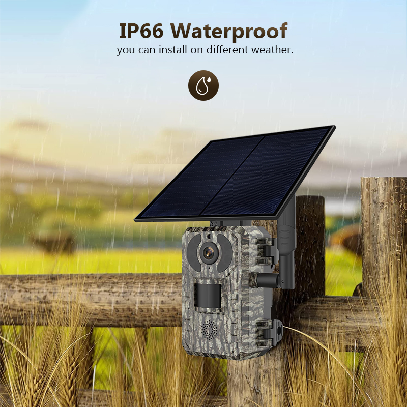 Kamera pengintaian berburu sat - Panel Power Outdoor ulasan dan harga